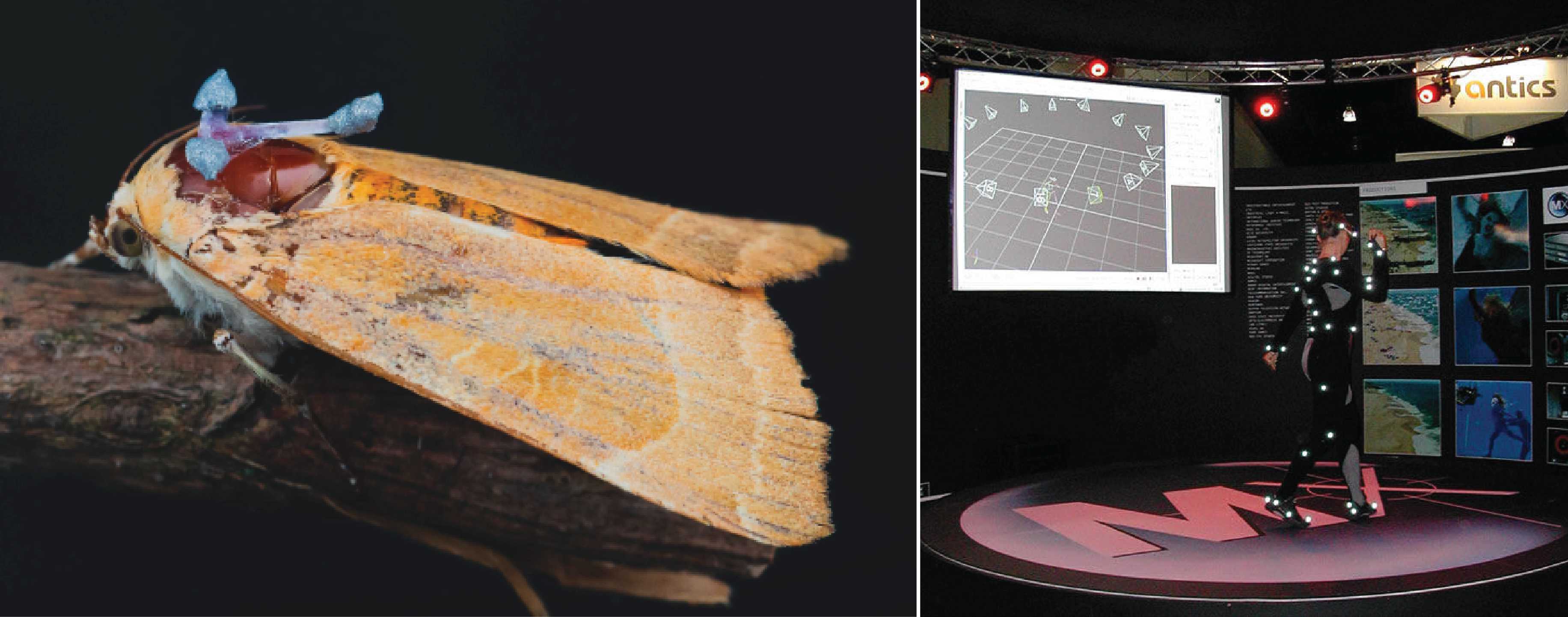 A trick of the light: What draws nocturnal insects to artificial lights ...