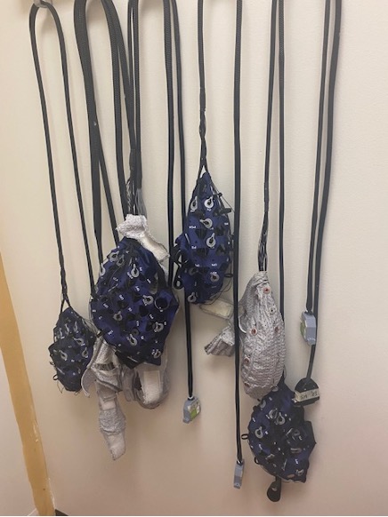A collection of various climbing helmets hanging on hooks, some with distinctive patterns and colors, and connected by black straps.